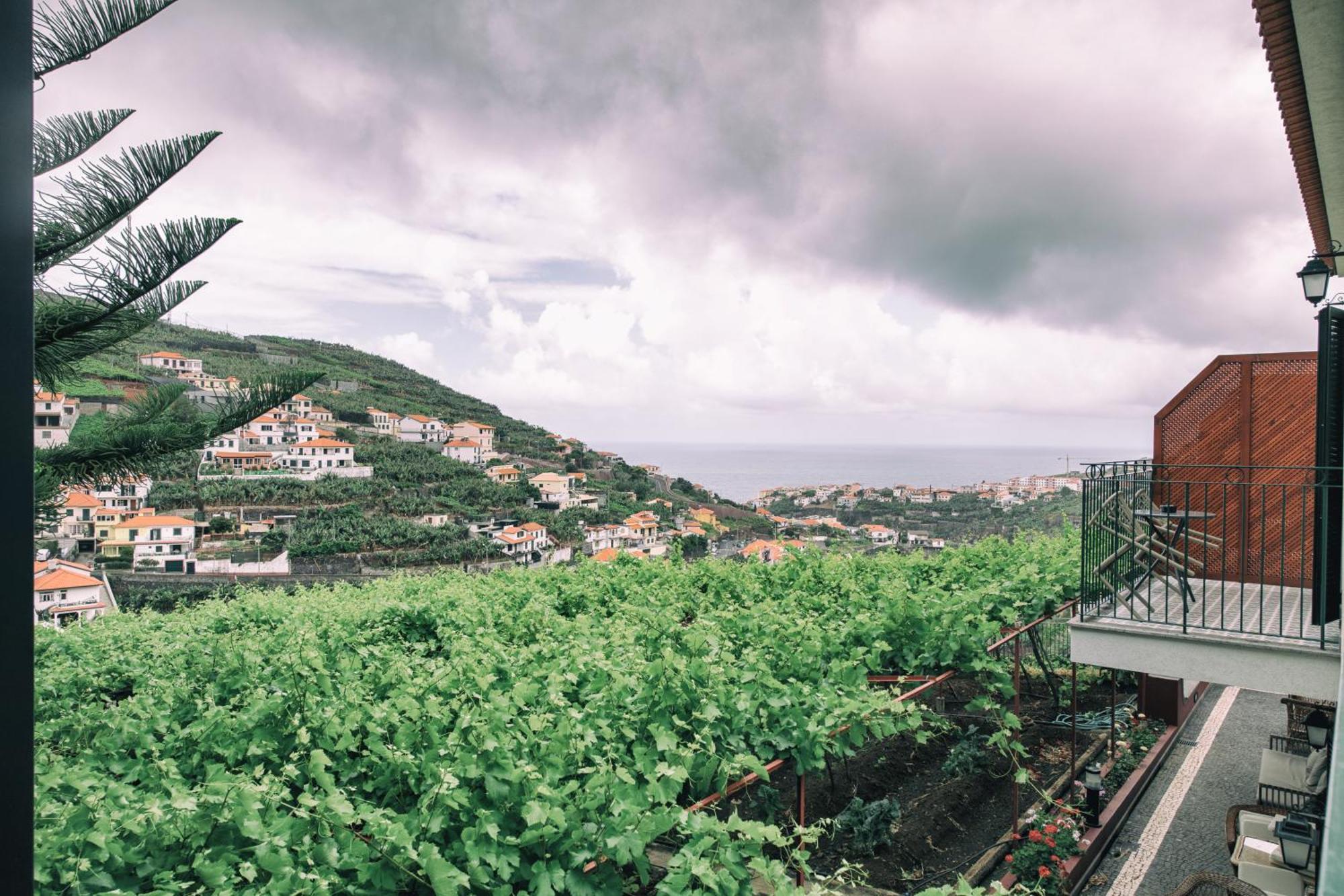 Quinta Da Saraiva Villa Câmara de Lobos Стая снимка